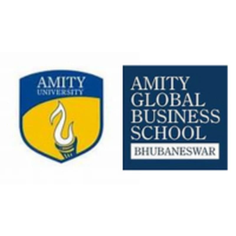AMITY University - Global Business School - Advance Excel and Life Skills